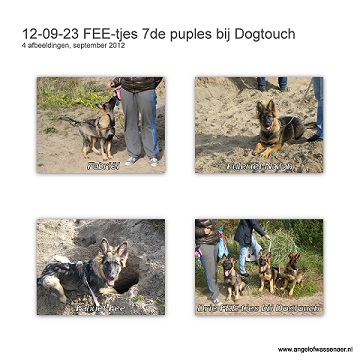 Dogtouch pupcursus met 3 FEE-tjes, de 7de les